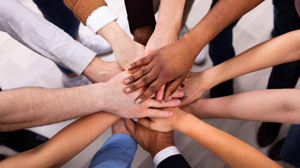 Developing and Sustaining Diversity Efforts